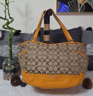 WhatsApp Image 2025-11-29 at 6.34.33 PM Bolso Coach Original (Usado)